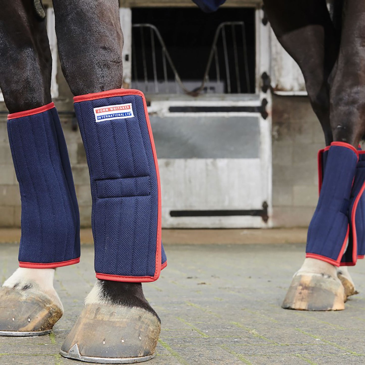 Whitaker 4LW Leg Wraps Navy - 4 Wraps