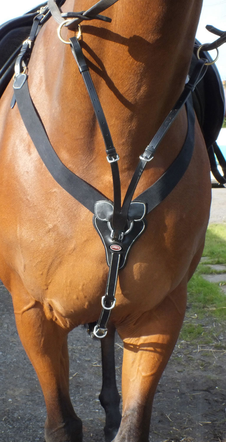 Whitaker BP048AV Eastwood Elasticated Breastplate