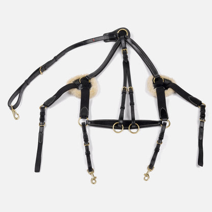 Whitaker BP052 Valencia 5 Point Breastplate