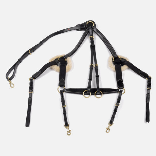 Whitaker BP052 Valencia 5 Point Breastplate