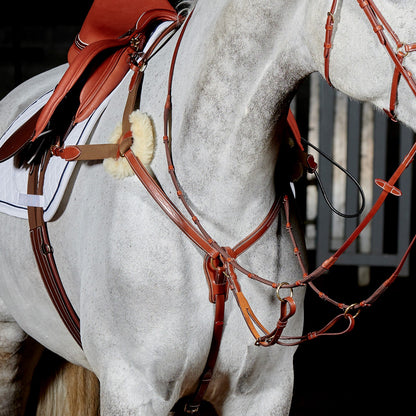 Whitaker BP052 Valencia 5 Point Breastplate