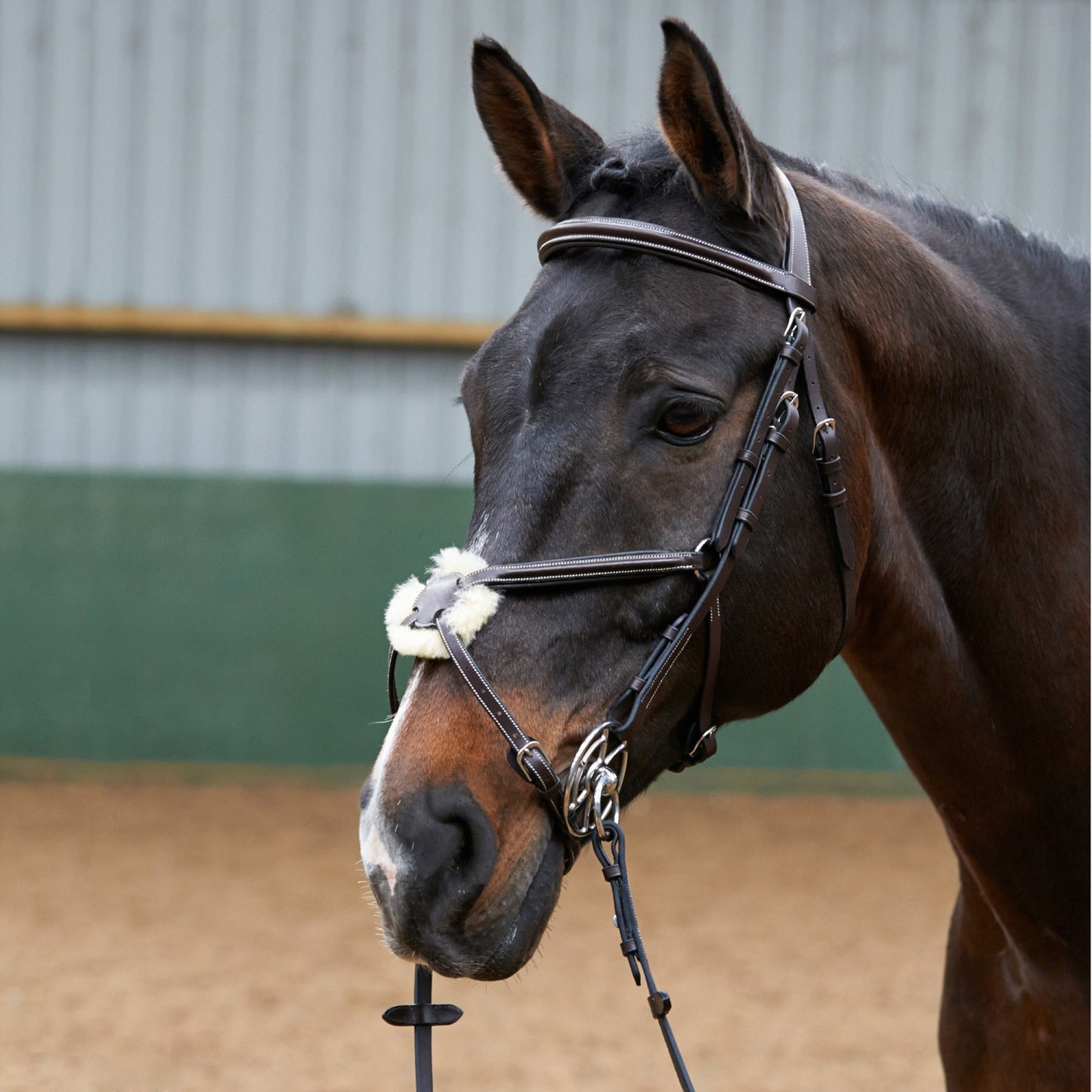 Whitaker BR050A Eastwood Mexican Bridle with Reins