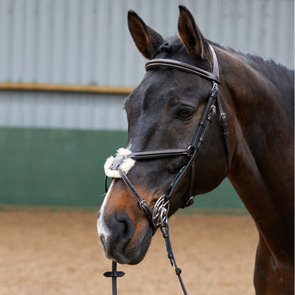 Whitaker BR050A Eastwood Mexican Bridle with Reins