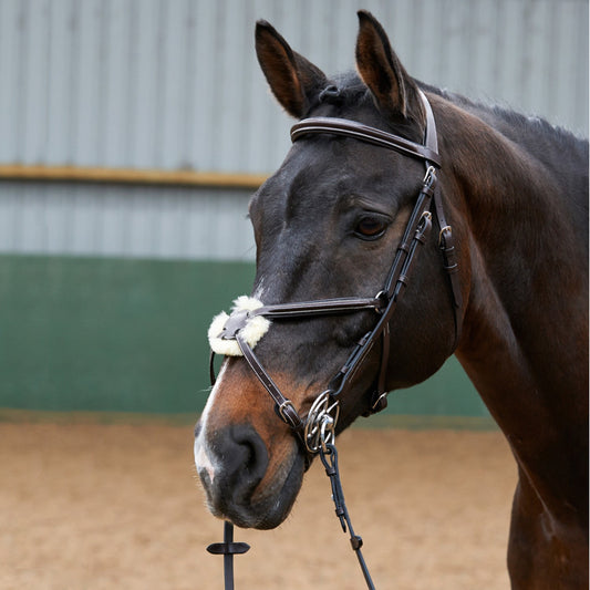 Whitaker BR050A Eastwood Mexican Bridle with Reins