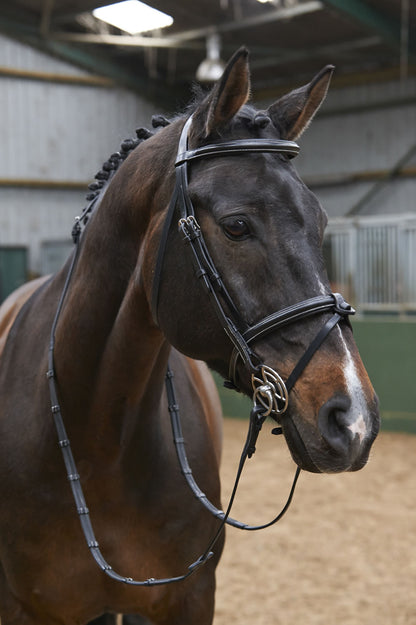 Whitaker BR051A Eastwood Raised Flash Bridle with Reins