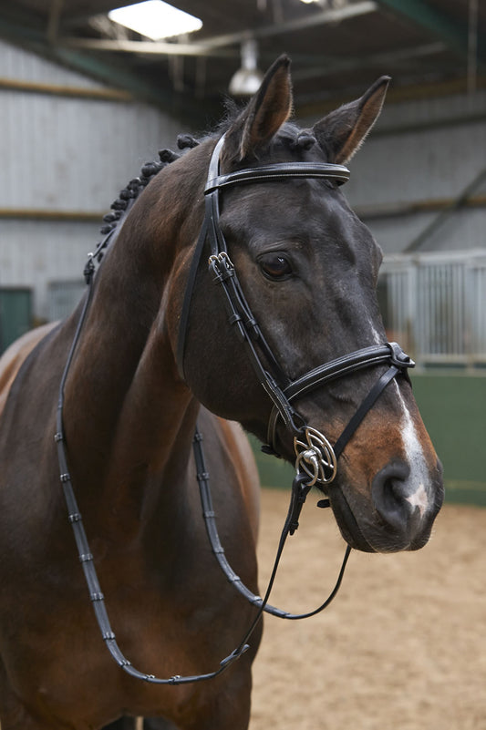 Whitaker BR051A Eastwood Raised Flash Bridle with Reins