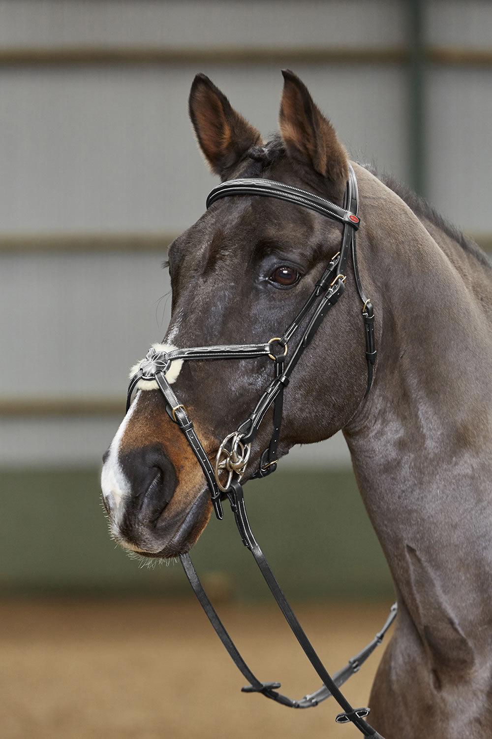 Whitaker BR052 Valencia Super Deluxe Mexican Bridle with Reins