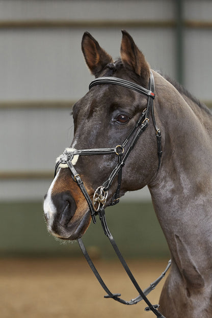 Whitaker BR052 Valencia Super Deluxe Mexican Bridle with Reins