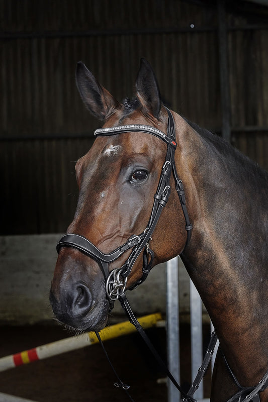 Whitaker BR070 Chicago Anatomic Breathable Bridle with Reins