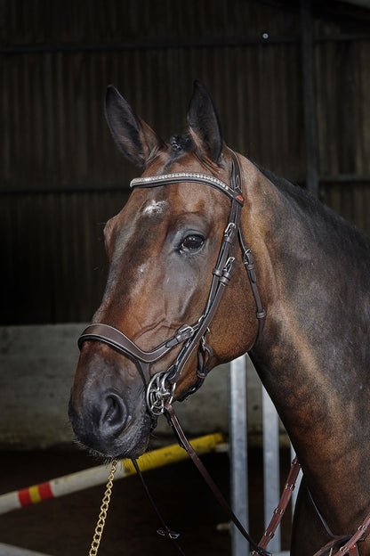 Whitaker BR070 Chicago Anatomic Breathable Bridle with Reins