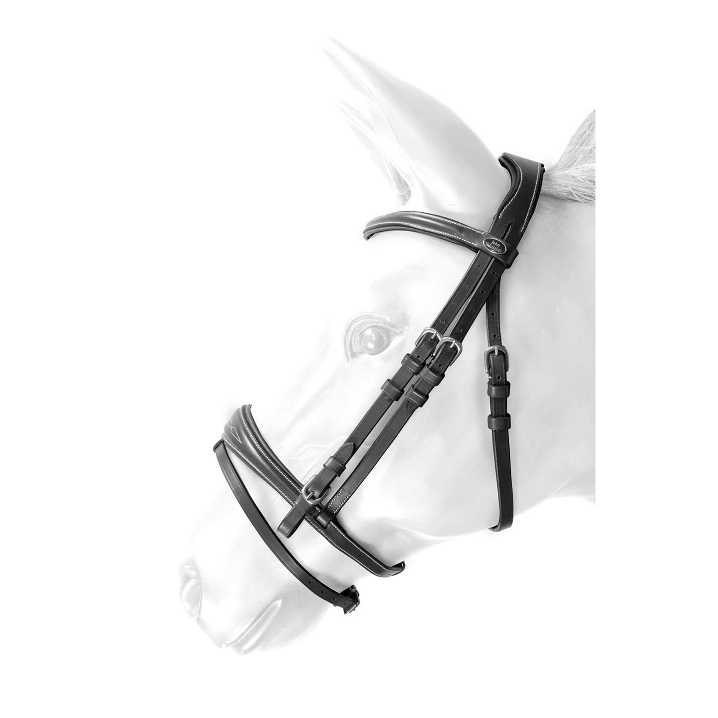 Whitaker BR100 Venice Flash Bridle with Reins