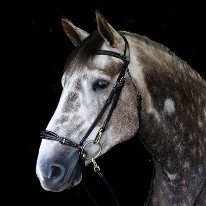 Whitaker BR102 Rome Drop Nose Bridle with Reins