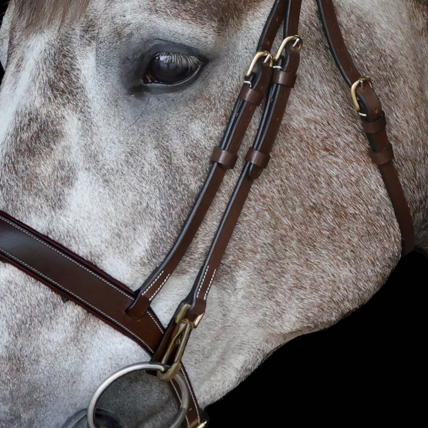 Whitaker BR102 Rome Drop Nose Bridle with Reins