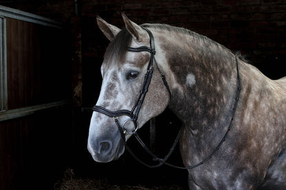 Whitaker BR103 Stockholm Anatomic Bridle