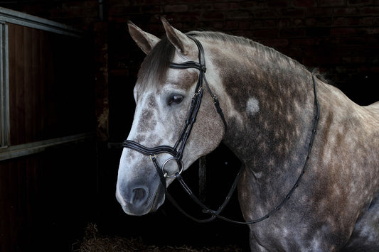 Whitaker BR103 Stockholm Anatomic Bridle