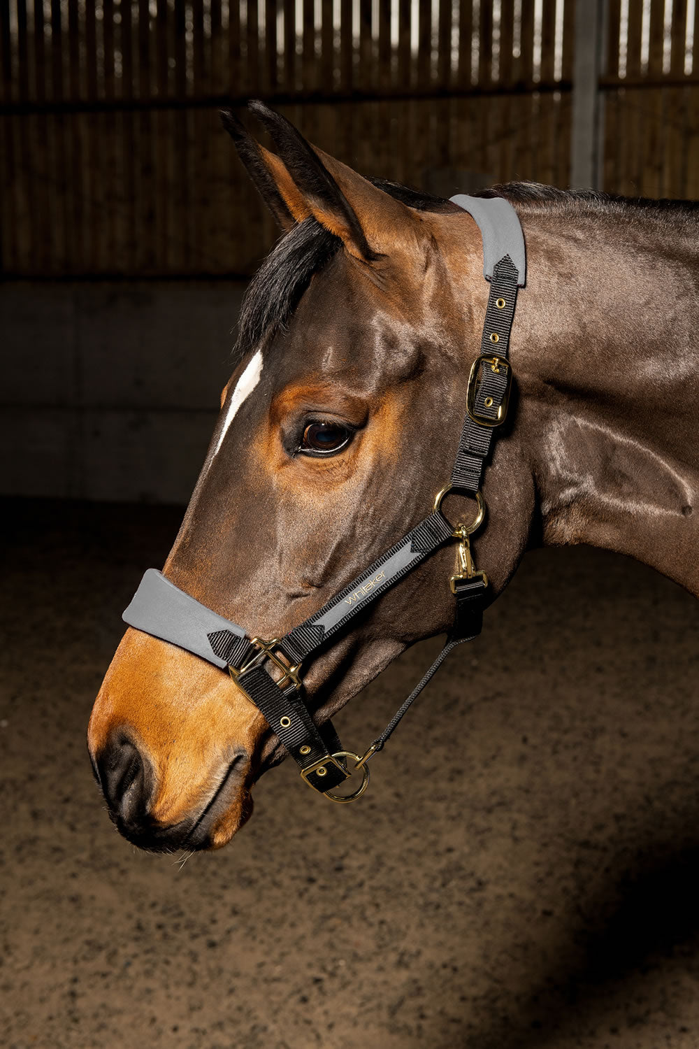 Whitaker HC096 Harewood Headcollar