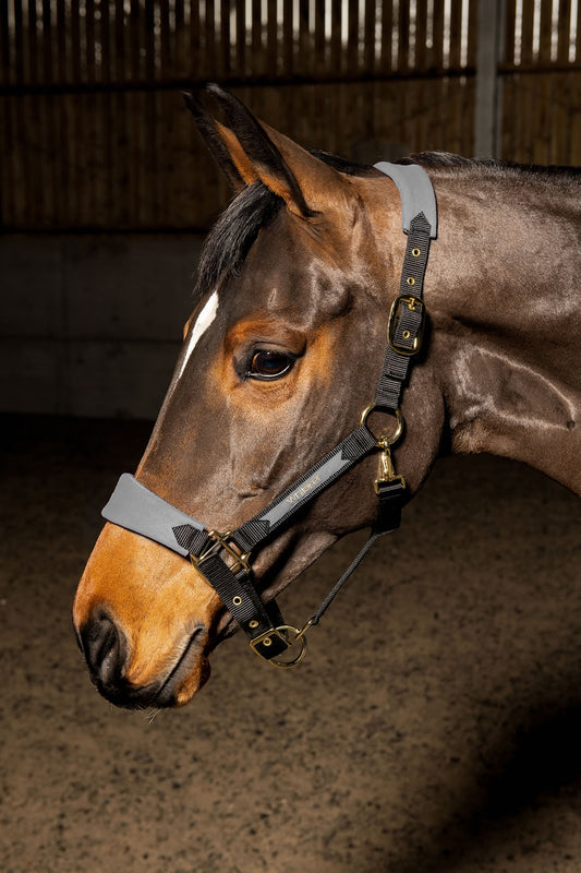 Whitaker HC096 Harewood Headcollar