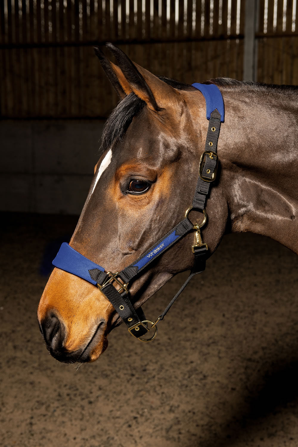Whitaker HC096 Harewood Headcollar