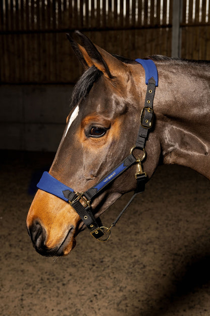 Whitaker HC096 Harewood Headcollar