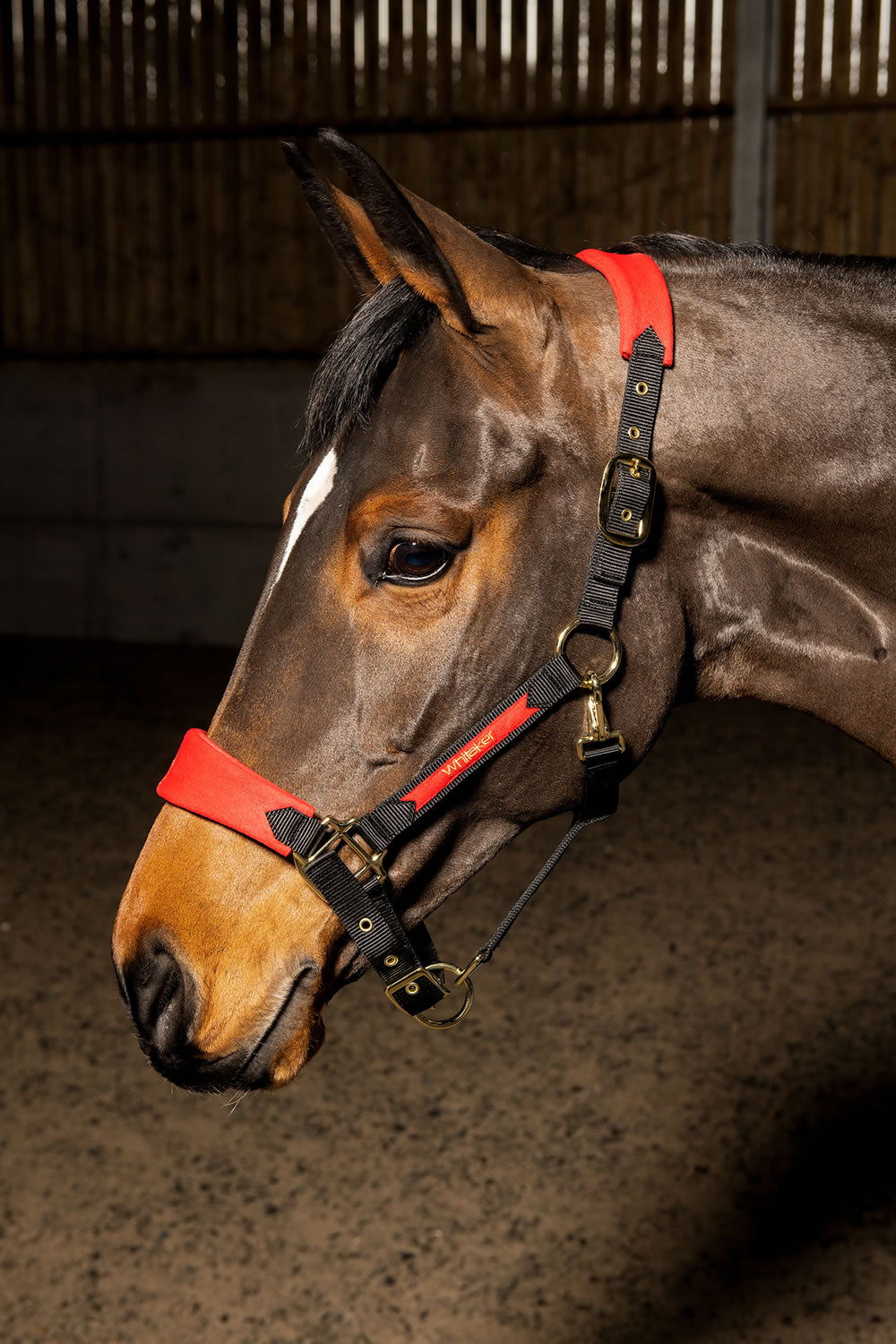 Whitaker HC096 Harewood Headcollar