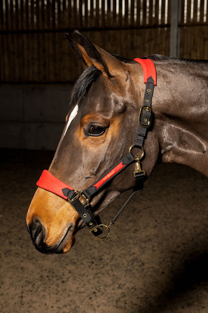Whitaker HC096 Harewood Headcollar
