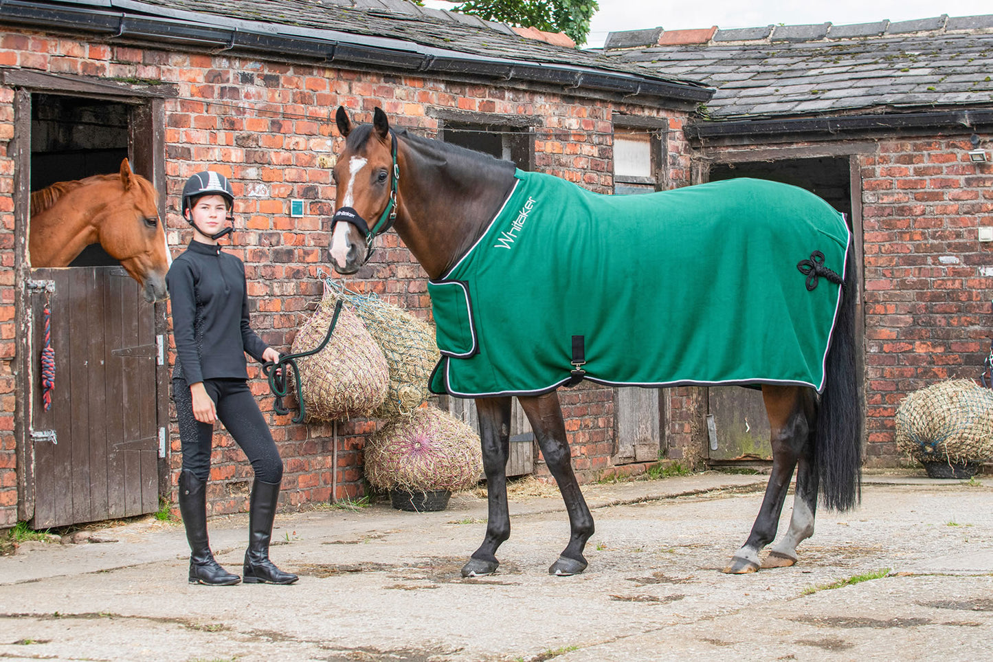 Whitaker R160 Club Show Rug Green