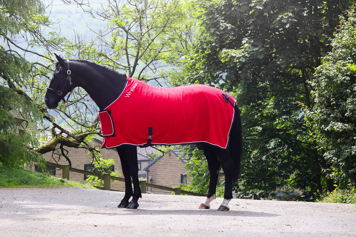 Whitaker R160 Club Show Rug Red