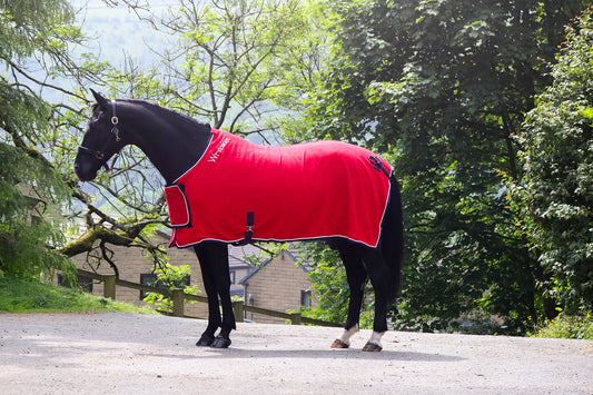 Whitaker R160 Club Show Rug Red