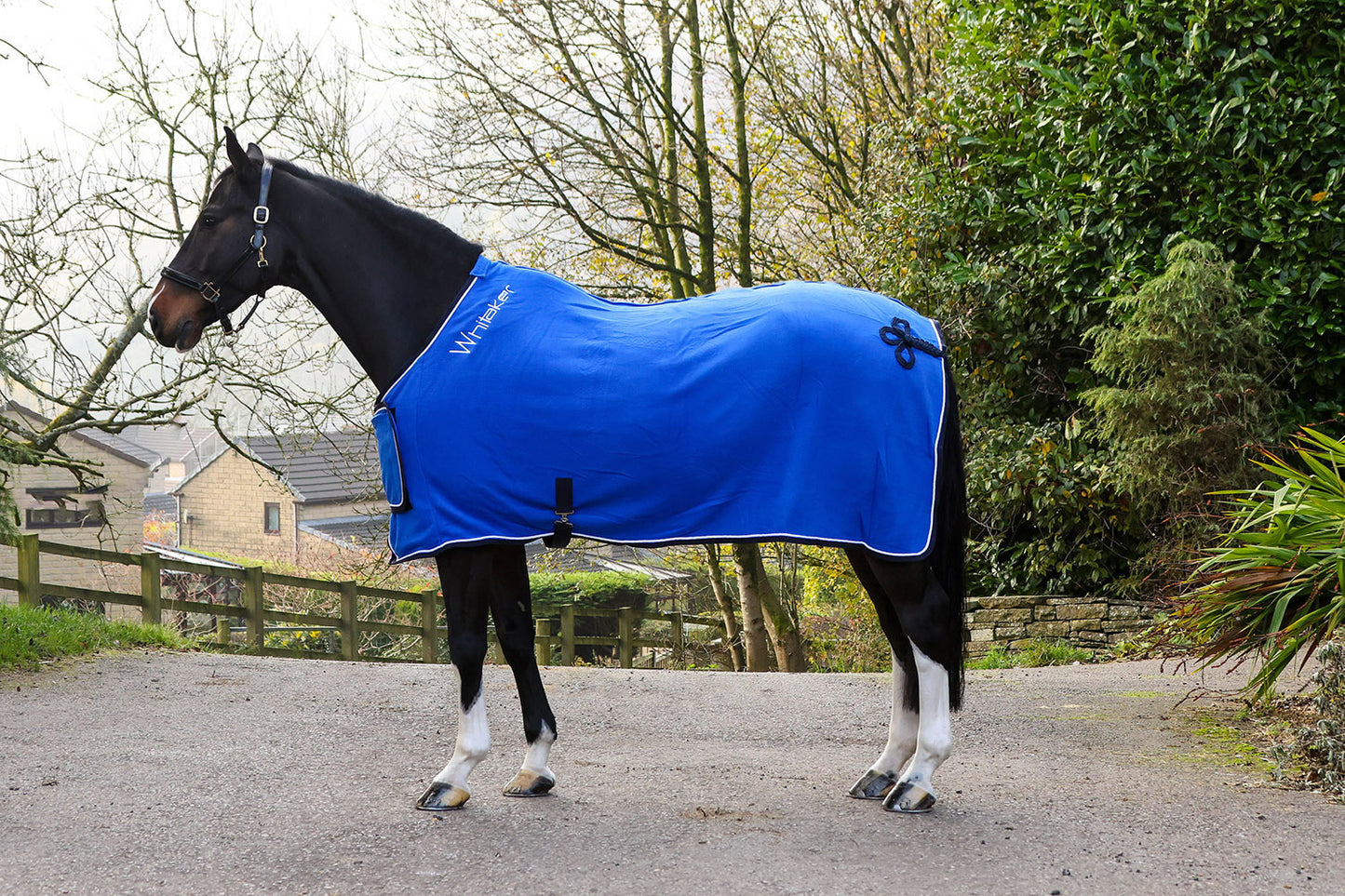 Whitaker R160 Club Show Rug Royal