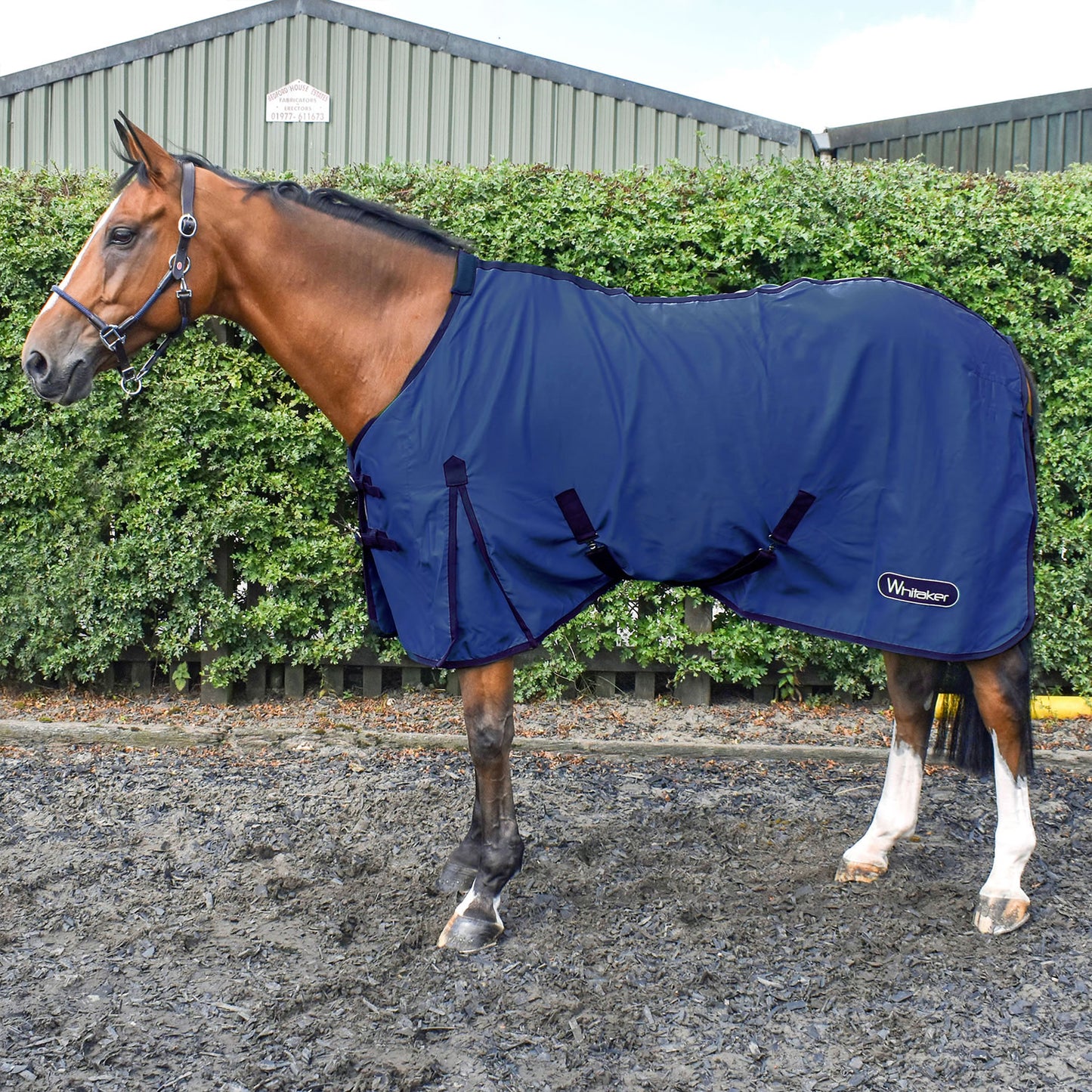 Whitaker R370 Allerton Multi-Function Cotton Sheet