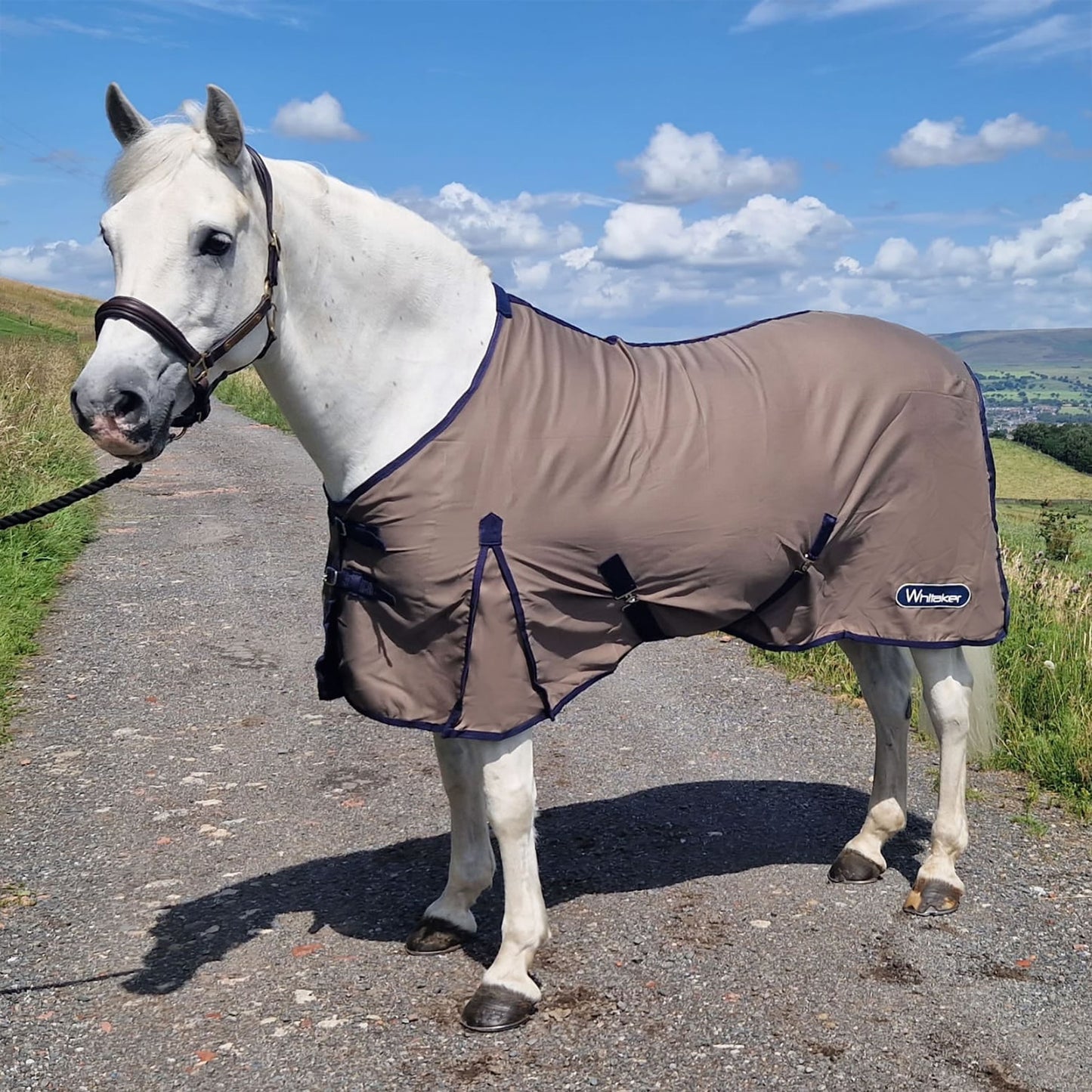 Whitaker R370 Allerton Multi-Function Cotton Sheet