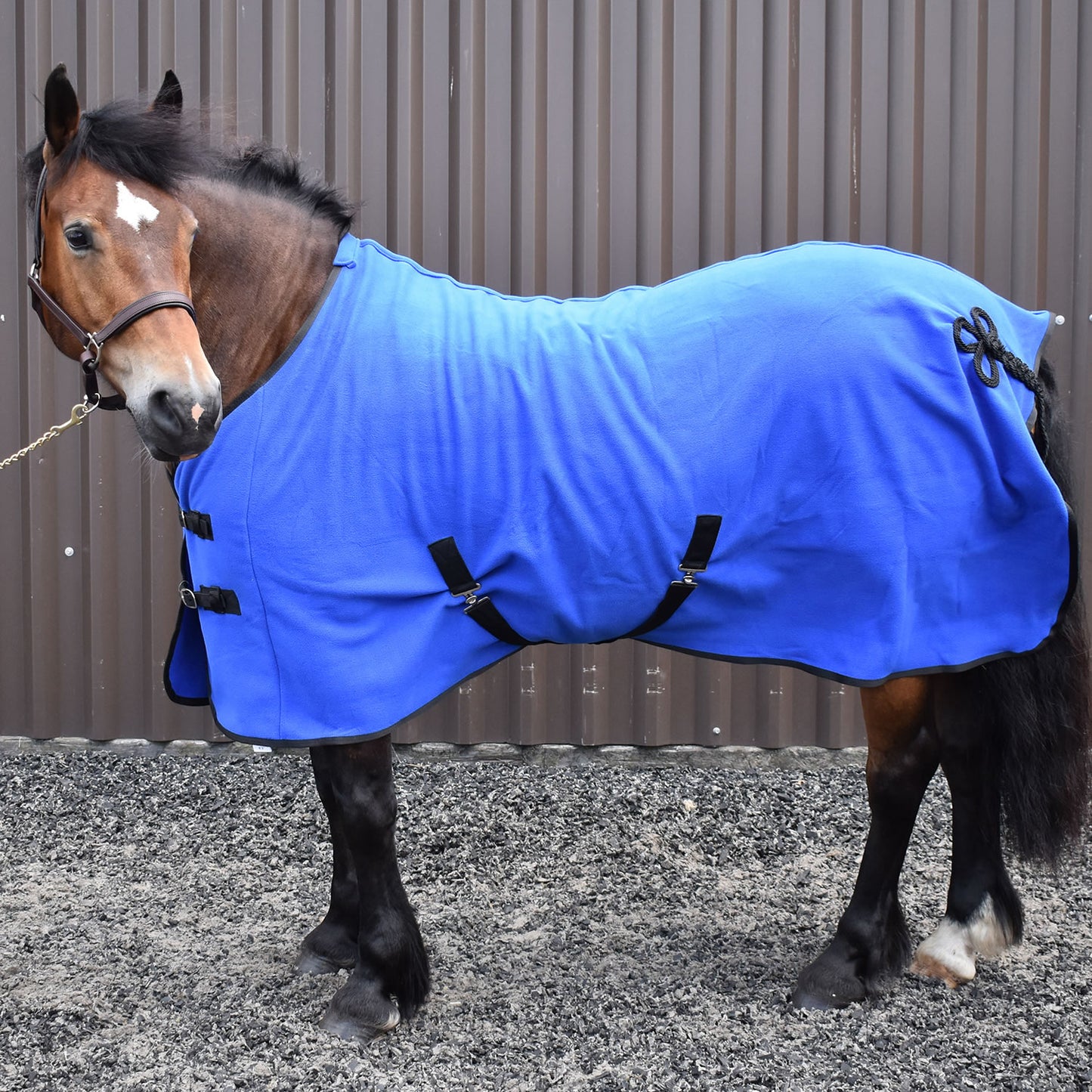 Whitaker R373 Bilbao Bonded Fleece Rug
