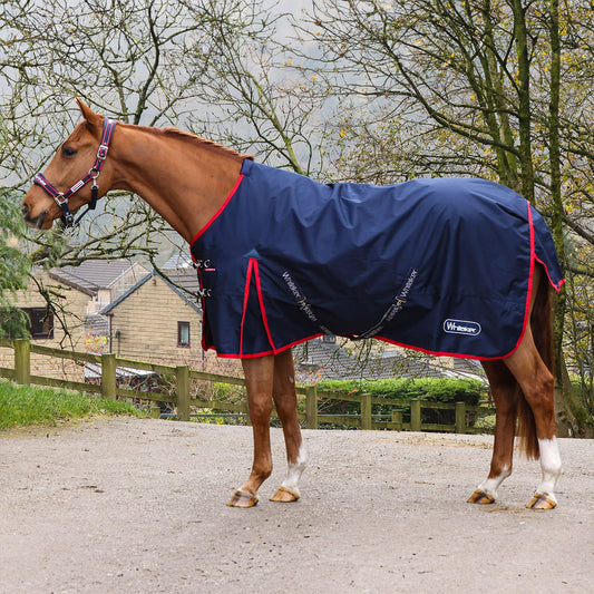 Whitaker R443 Rastrick V2 100g Turnout Rug Navy