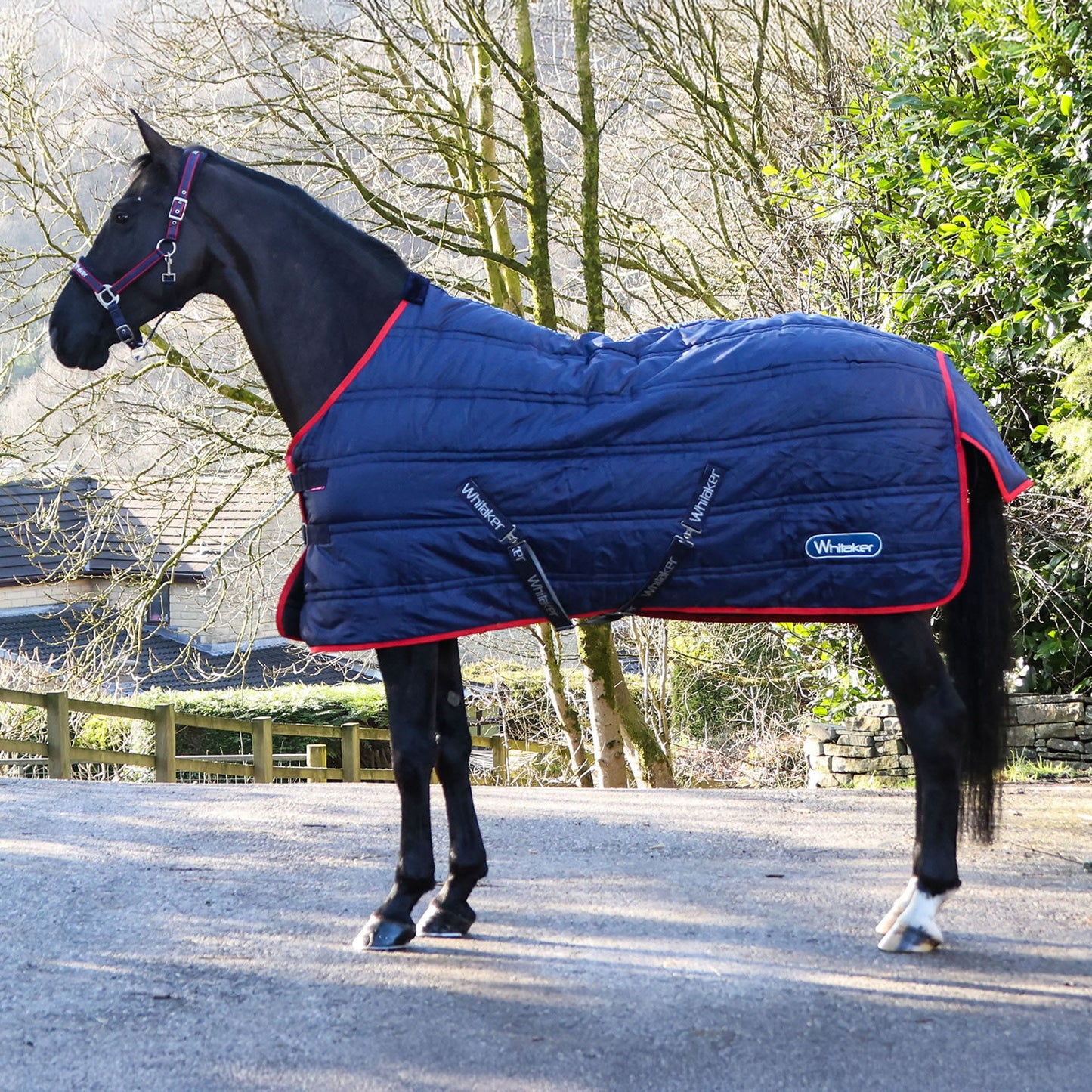 Whitaker R450 Rastrick V2 100g Stable Rug Navy