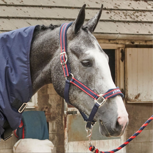 Whitaker WHCS Airflo Headcollar with Lead Rope Set Navy/Red