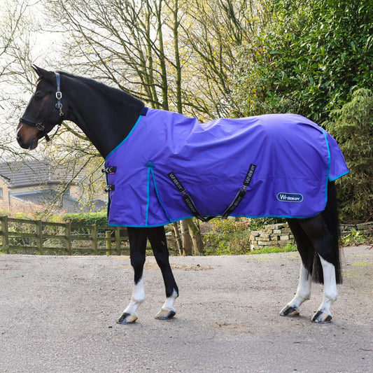 Whitaker R440 Rastrick V2 0g Turnout Rug Purple