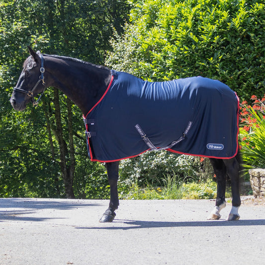 Whitaker R475 Rastrick V2 Cooler Rug Navy