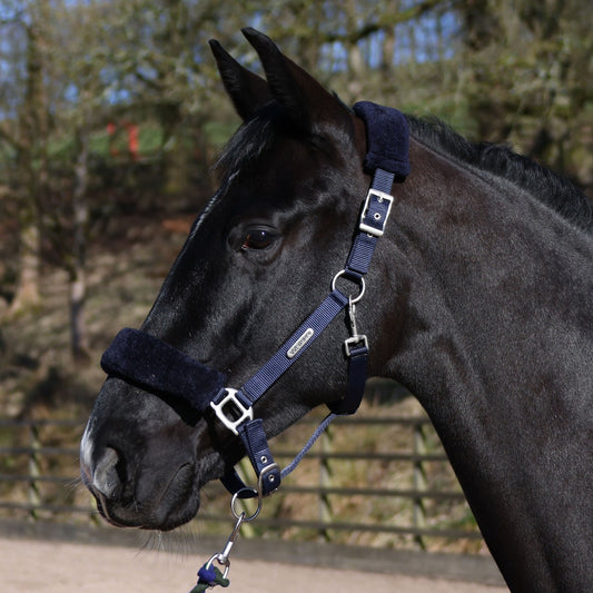 Whitaker HC170 Leyburn Headcollar & Lead Rope