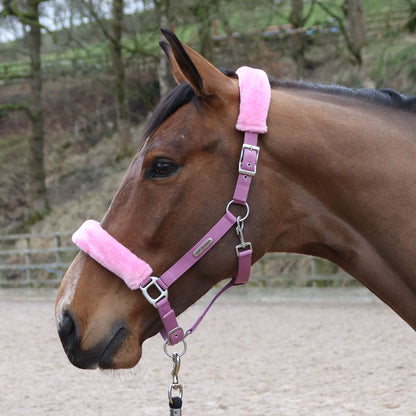 Whitaker HC170 Leyburn Headcollar & Lead Rope