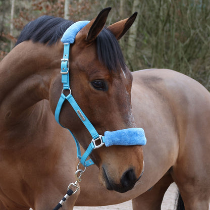 Whitaker HC170 Leyburn Headcollar & Lead Rope