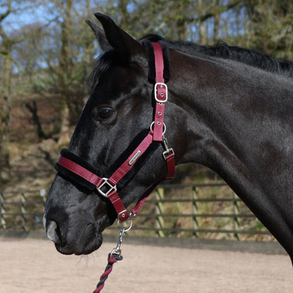Whitaker HC171 Holmfirth Furry Headcollar & Lead Rope