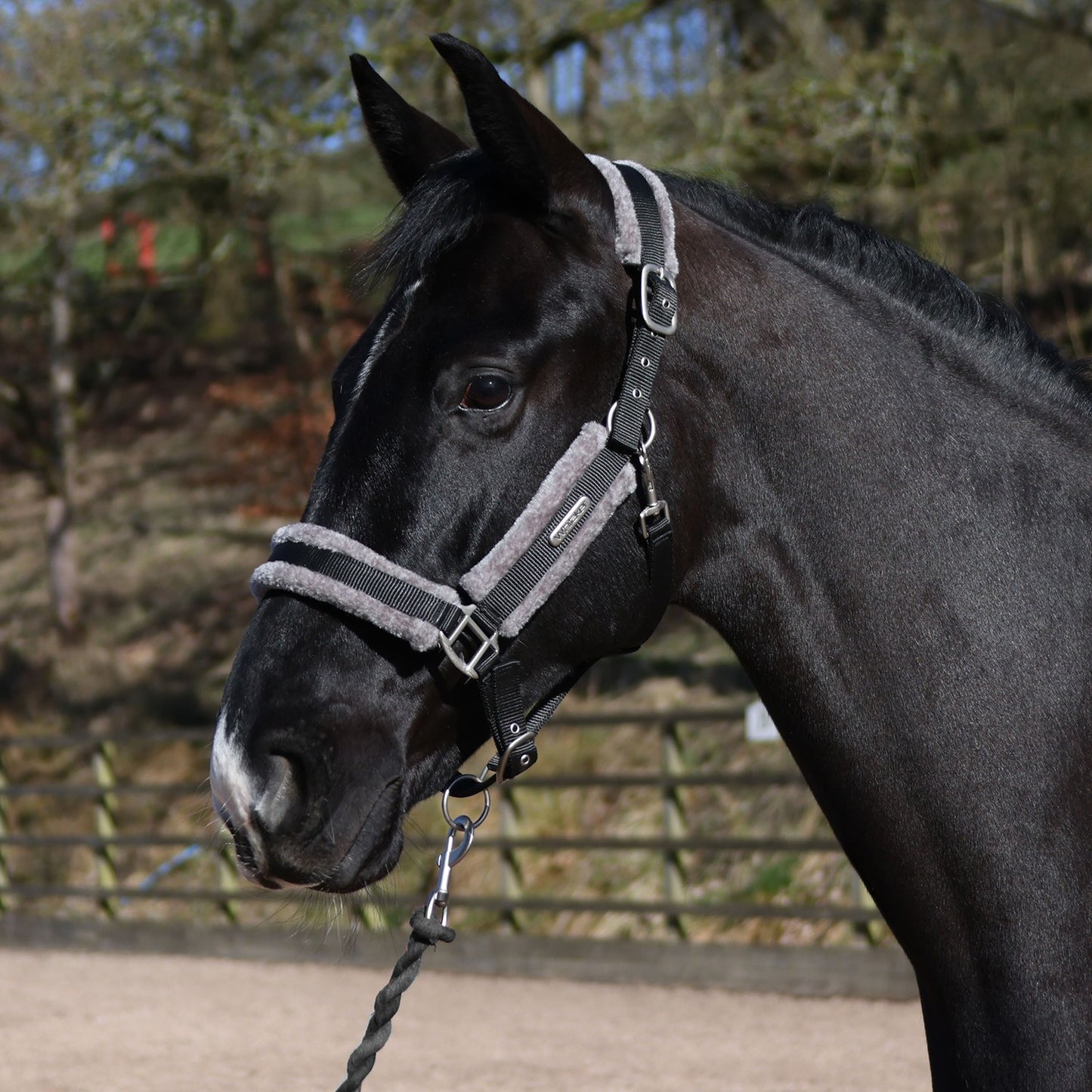 Whitaker HC171 Holmfirth Furry Headcollar & Lead Rope