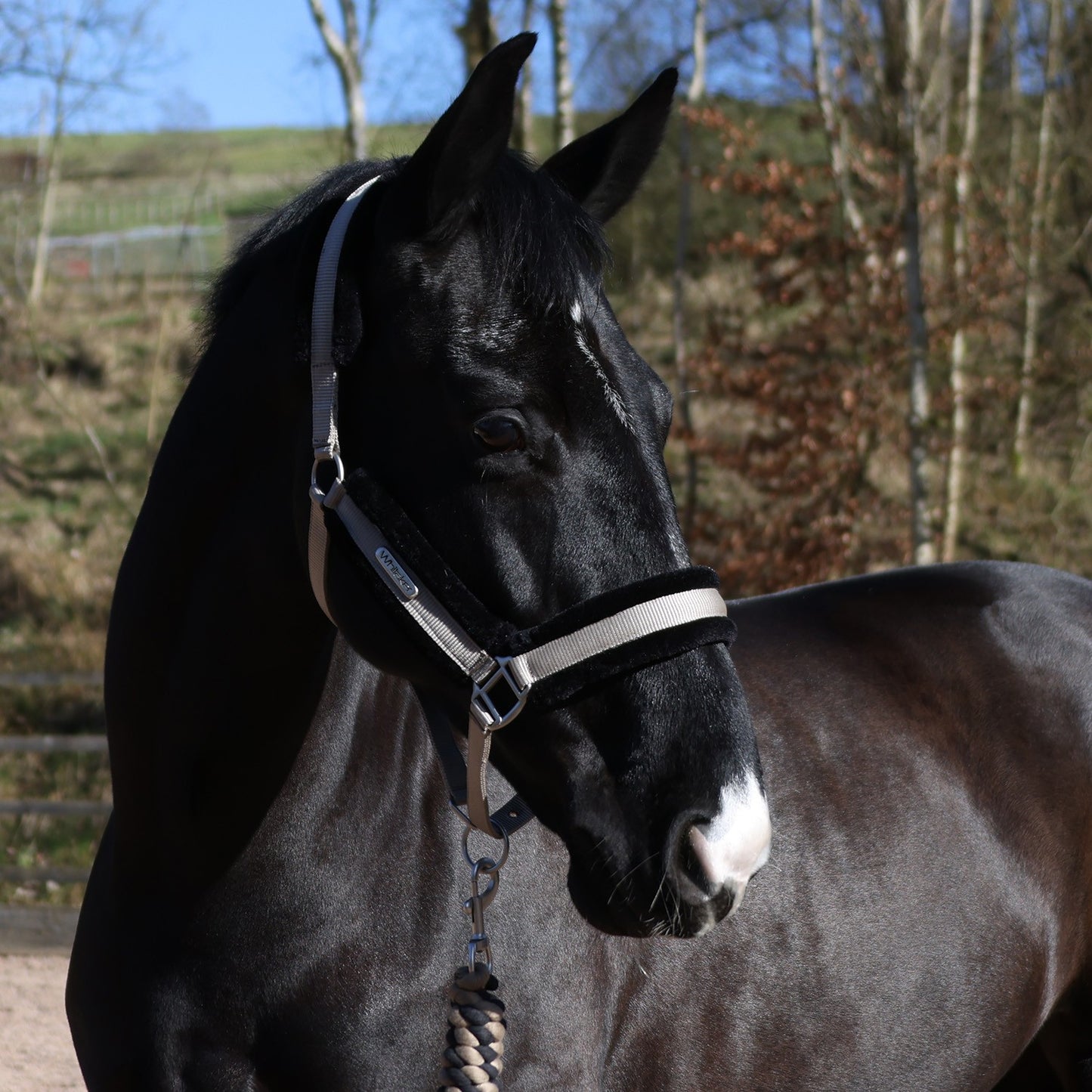 Whitaker HC171 Holmfirth Furry Headcollar & Lead Rope