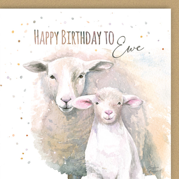 Greetings Card - Country Collection - Sheep
