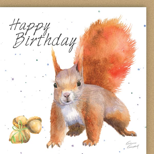 Greetings Card - Country Collection - Red Squirrel