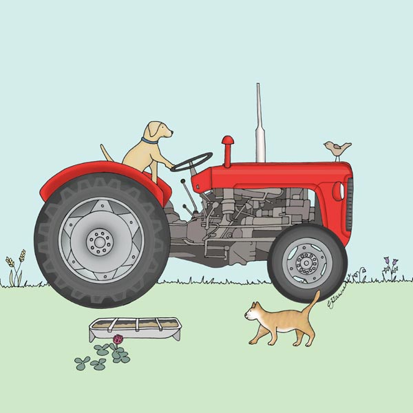 Greetings Cards: Field and Farm