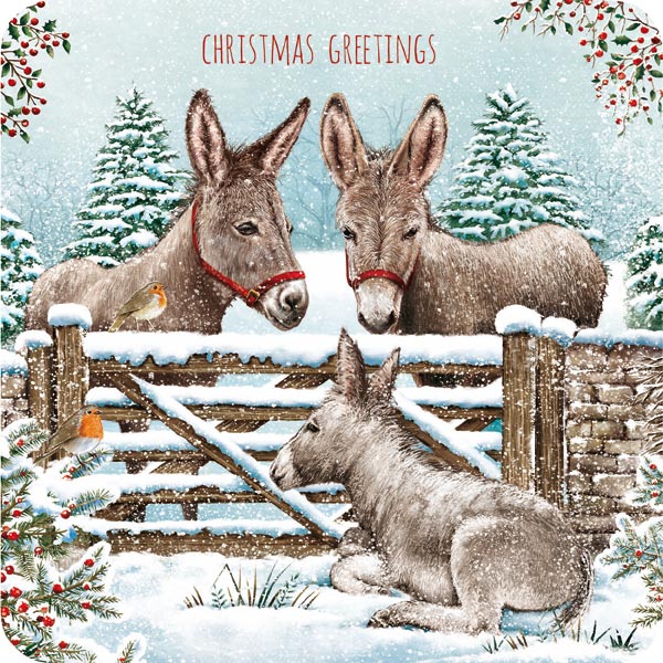 Christmas Cards: Over the Gate