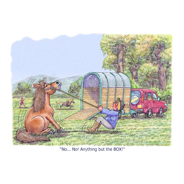 Greetings Card -  No...No