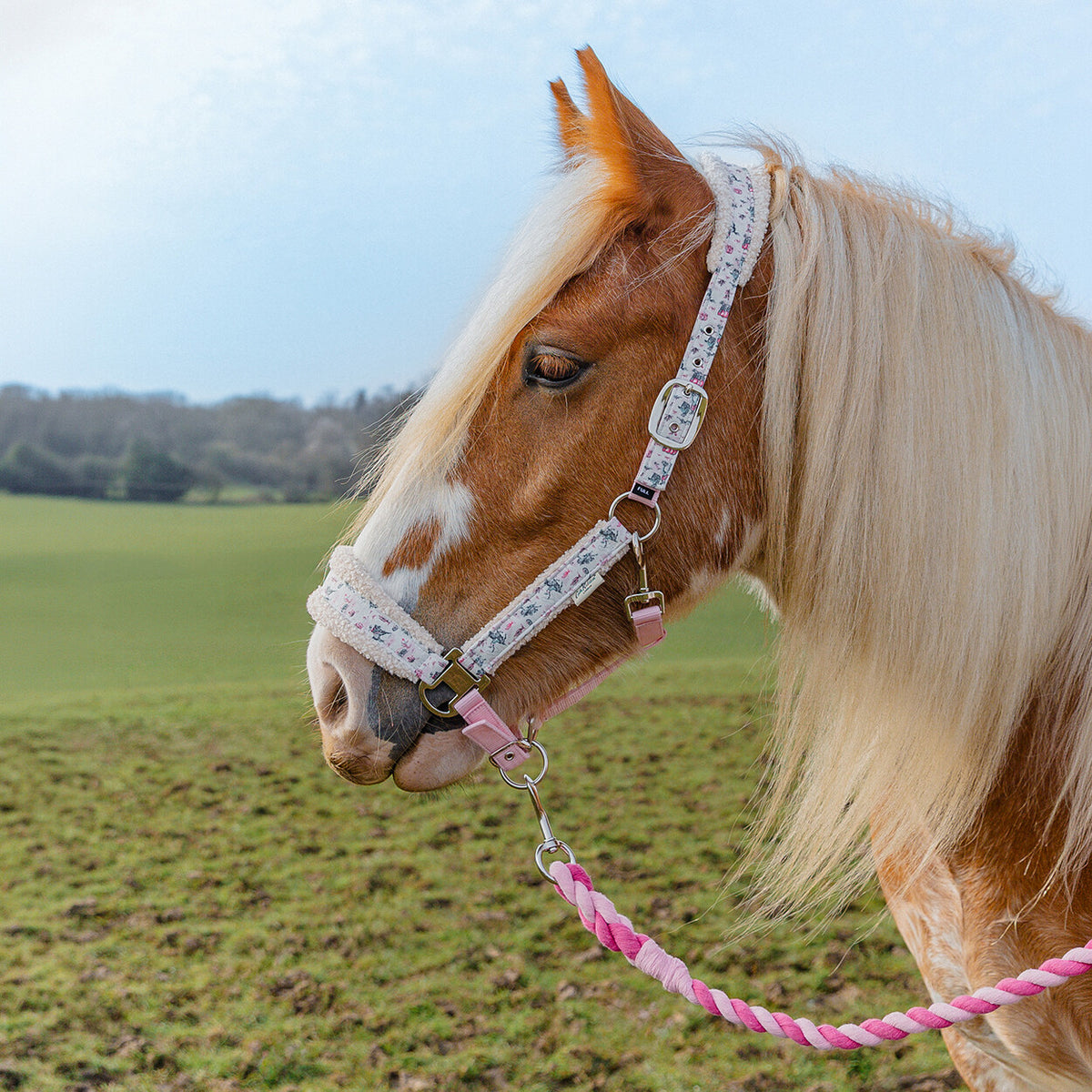 Cath Kidston Headcollar and Rope Set: Cowgirl