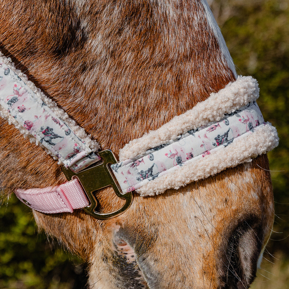 Cath Kidston Headcollar and Rope Set: Cowgirl